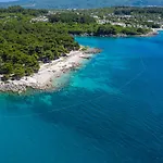 Tamaris - Drazica